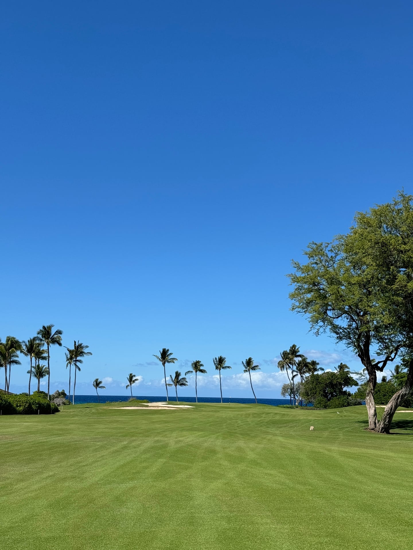 Waikoloa Beach, dernier tournoi de la saison.